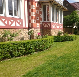 Jardin avec pelouse verdoyante et haies taillées, résultat d’un engazonnement soigné
