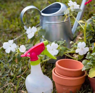 Gardening Tips for Beginners