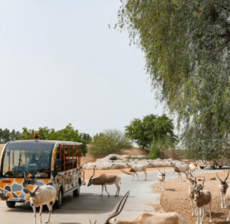 Dubai Safari Park