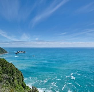 west coast new zealand Best Tourist attraction in New Zealand