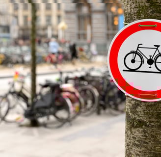 a bicycle sign on a tree trunk trunk