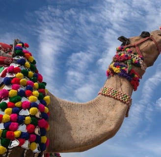 BIKANER