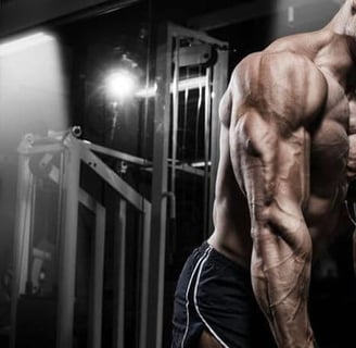 Treino GVT: Como fazer e o que é