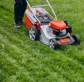 lawn maintenance lawn mowing