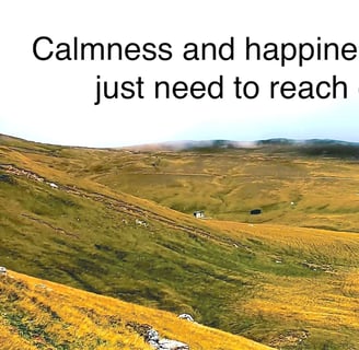 Rolling hills under mist with a quote about embracing inner calmness and happiness.