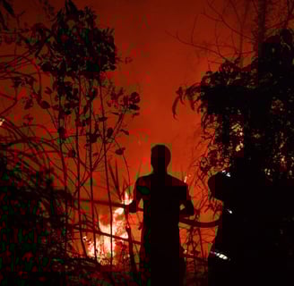 Floresta em chamas por causa da seca na Indonésia