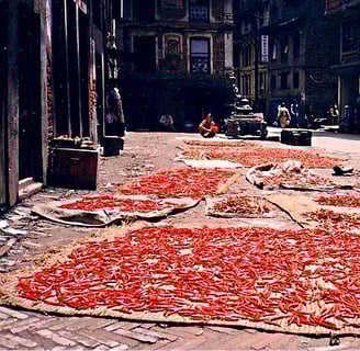 Chilli drying - Nepal tour package