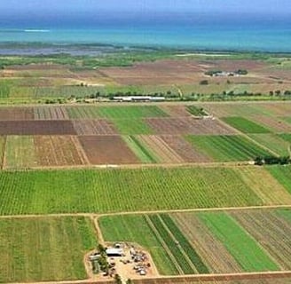 Teren pentru construcții sau agricol în Strășeni
