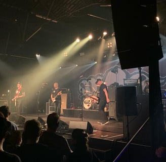 Millencolin im Roxy in Ulm
