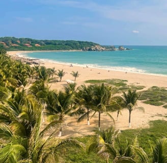 playa zicatela puerto escondido, showing beautiful sane and green waters with palm trees