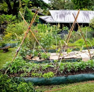 principii de baza permacultura