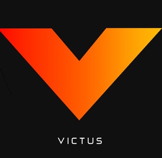 Hp Victus Laptop Panel And Hinges Repair