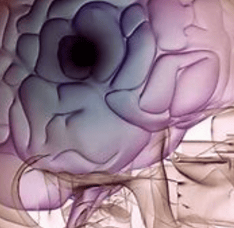 brain