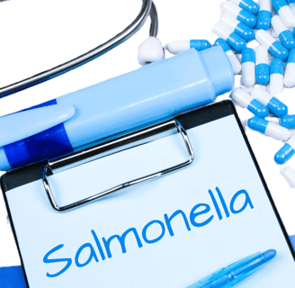 salmonella