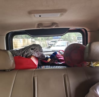 Travel