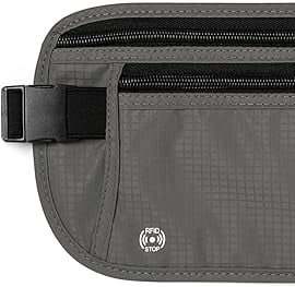 Travel money belt