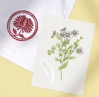 Card featuring an hand-drawn chamomilla botanical illustration next to a white towel on a yellow background