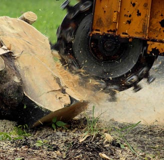 Stump Grinding