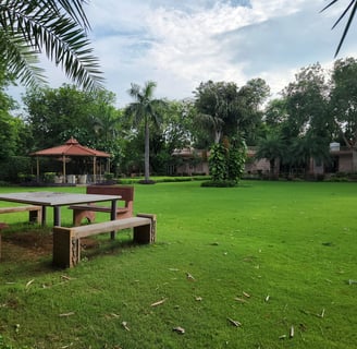 Premium farm land in Manesar available for sale with verified registry - TFRG