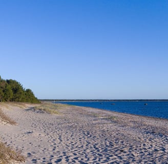 Ostsee Strand Estland