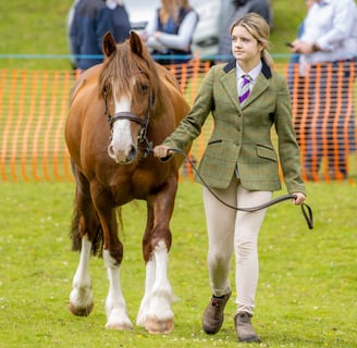 Girl in a leading pony class at Cwmdu Show
