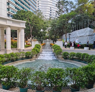 Water and plants with buildings in the background