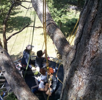 Groupe de jeune sur une plateforme suspendue dans les arbres