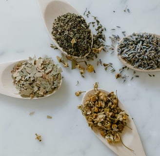 four spoons with various dried herbs