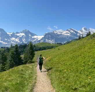 Lovely views from the Mountain View Trail in Mürren