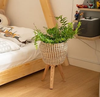  Macetero con soporte integrado, trenzado de algas marinas – Maceta – Maceta – 20 cm de diámetro