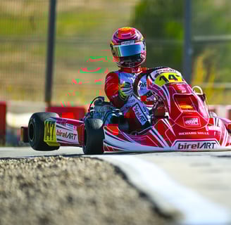 Kart rouge numéro 14 en pleine course sur une piste de karting.