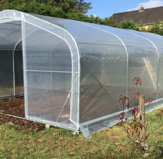 serre de jardin pour tomates