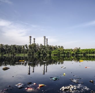 Bangalore lake