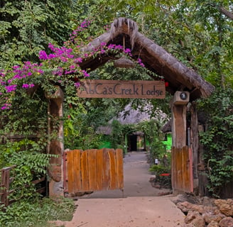 Een serene afbeelding van Abca's Creek Lodge, met aantrekkelijke hutten gelegen aan de oever van een