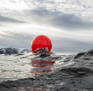 Polyform Buoys & Fenders - bay marine
