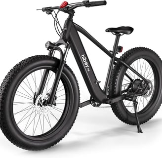 Hi-Boy Ebike
