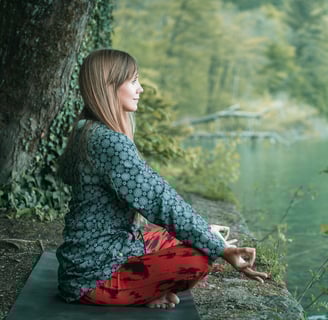 meditation-bhagavad-gita-wisdom-sage-krishna-arjuna