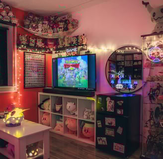 a room with a tv and a television