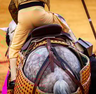 Caballos de Picar. Cuadra de Caballos Centenaria, Enrique Peña. Maestranza de Sevilla