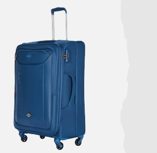 TRAVEL CASES