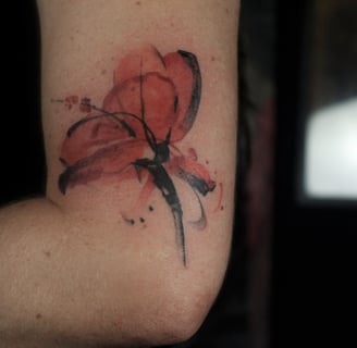 Hibisco