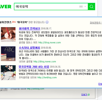 Naver ads preview