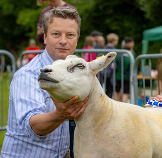 Champion Sheep Winner at Cwmdu Show 2024