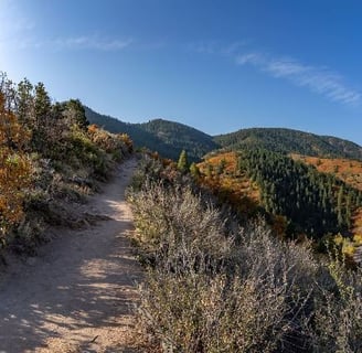 Open Space trail in Jefferson County