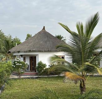 A scenic view of Tanema Creek in Brufut, featuring a tranquil waterway lined with lush mangrove fore