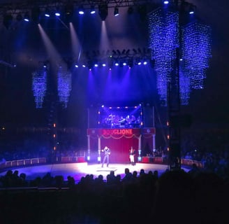 Sampion Bouglione jonglerie acrobatie et claquettes