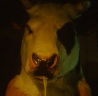 Cow head scene in the movie Gozu