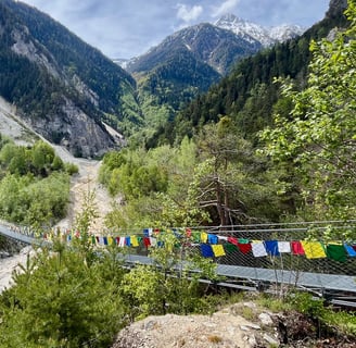 View looking up the Illgraben at the Bhutan Brucke in Switzerland's Pfynwald Forest in the Valais