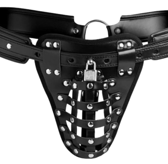 a leather chastity harness with a small lock and a netter area in the front