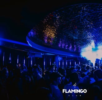 Flamingo Dance Floor